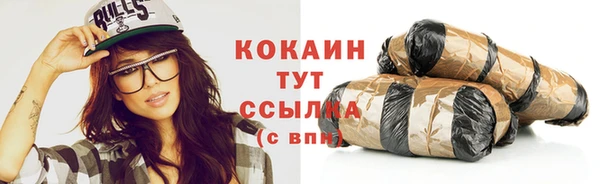 мдпв Горно-Алтайск