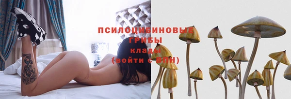PSILOCYBIN Горнозаводск