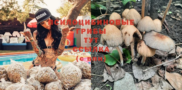 PSILOCYBIN Горнозаводск