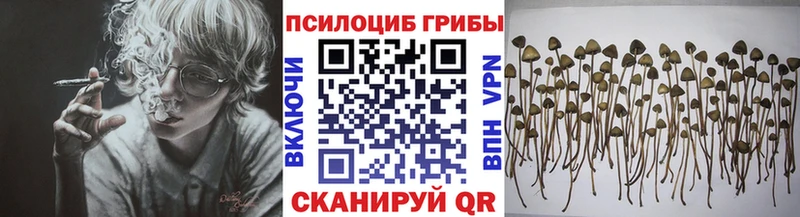 Псилоцибиновые грибы GOLDEN TEACHER  Высоковск 