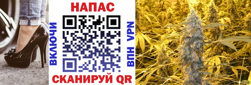 Конопля OG Kush цена даркнет официальный сайт Высоковск